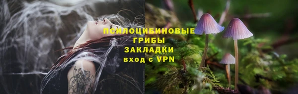 тгк Беломорск
