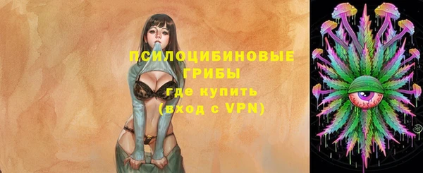тгк Белокуриха