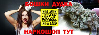 бошки Сланцы
