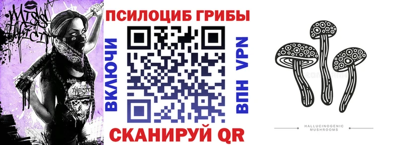 blacksprut рабочий сайт  Реж  Псилоцибиновые грибы мухоморы 