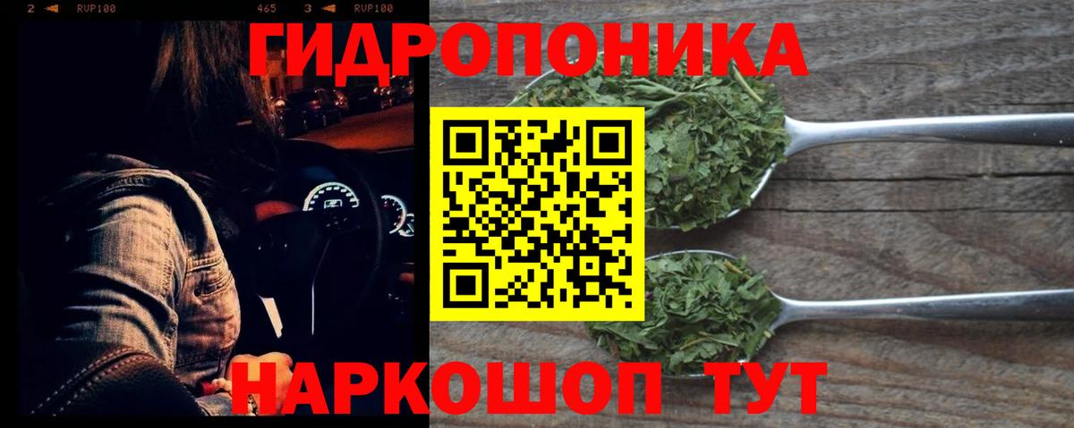 Шишки марихуана Bruce Banner Реж